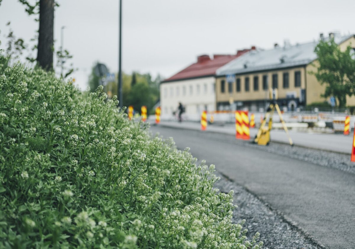 Härmälä toukokuussa 2026